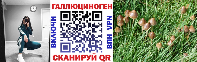 Галлюциногенные грибы Magic Shrooms  Купить закладки  Свирск 